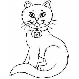 Cats 21
